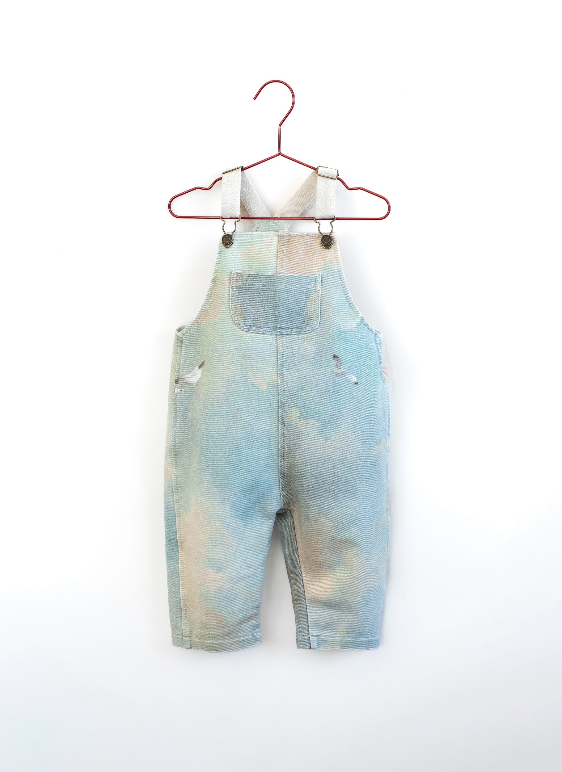 Bird Denim Overalls